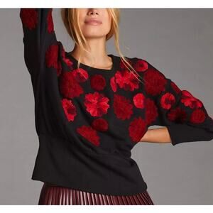 Anthropologie Maeve Embroidered Sweatshirt